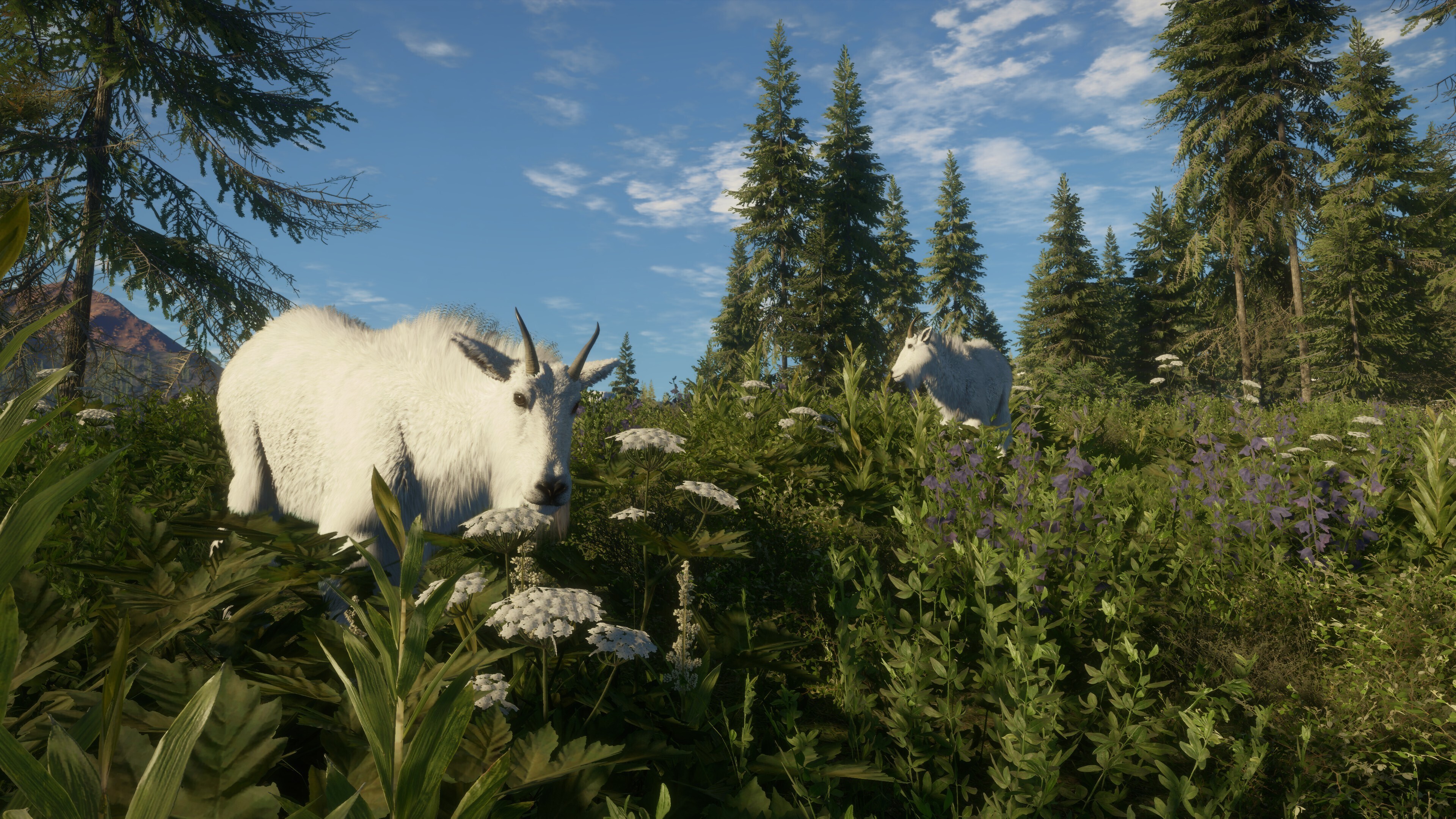 图片[3]-猎人：荒野的召唤/ theHunter: Call of the Wild/ 单机+联机   v3263984&nbsp; 全DLC 赠满财富技能小屋位置存档  免安装中文版